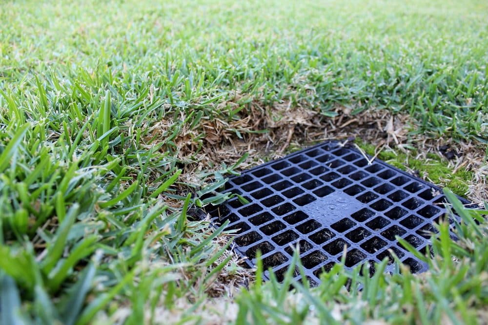 A square, black outdoor drain sunken in a grassy yard by about an inch