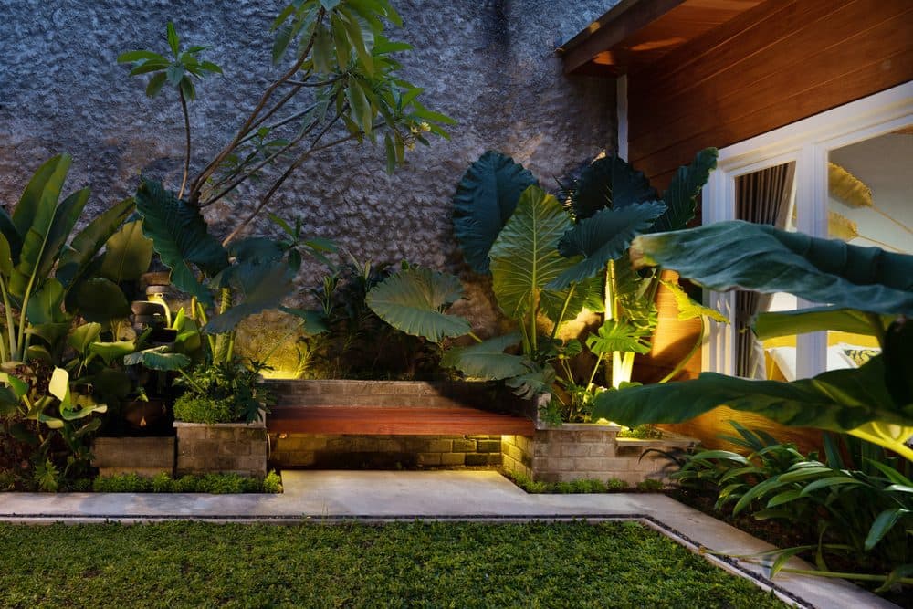 Landscape lighting highlighting beautifully maintained plants