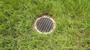 A white outdoor drain in a healthy, green grass yard