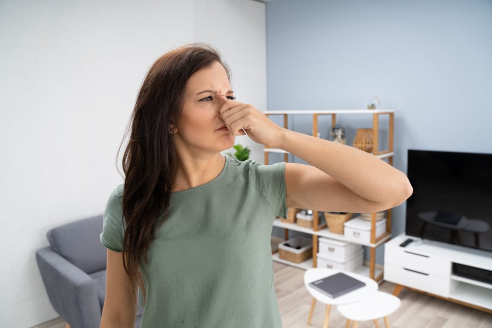 6 Ways to Get Rid Of Musty Smells in Your Basement