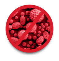 germs and bacteria